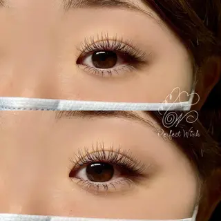 カラー マツエク・マツパ パーフェクトウィンク ちぢいわみのりのマツエク・マツパデザイン