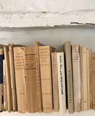 マツエク・マツパ miien(SALONVILLAGE内)所属・MOE /渋谷・明治神宮前のマツエク・マツパデザイン