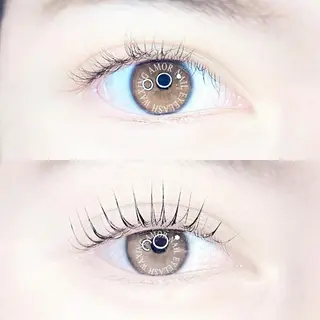 マツエク・マツパ Amor所属・AMOR EYELASHのマツエク・マツパデザイン