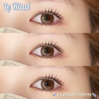 マツエク・マツパ Le Riad 栄 🦋坪内のマツエク・マツパデザイン