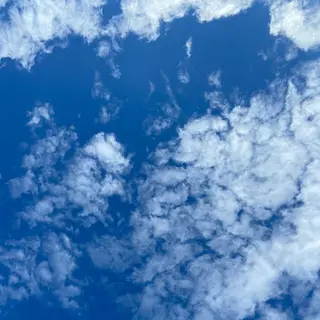 TIDEHAIR SHIHOのヘアスタイル