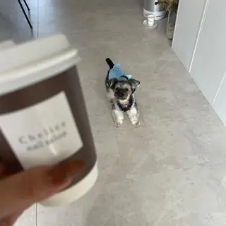 ネイル Chelice nailのネイルデザイン