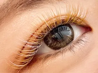 マツエク・マツパ Lucia 清澤のマツエク・マツパデザイン