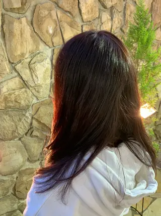 ミディアム カラー ササ　ユウキ/パーマ 縮毛矯正/髪質改善のヘアスタイル