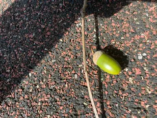 フェイシャルサロン ビアンカガーデンのエステ・リラクイメージ