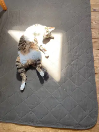 Spiky とうげ ふうかのネイルデザイン