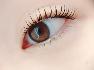 マツエク・マツパ li'l eyelashのマツエク・マツパデザイン