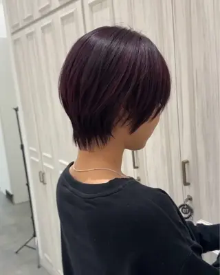 ショート カラー 河合 すみれのヘアスタイル