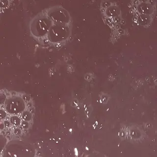 ネイル OTOHA/ 渋谷/パラジェルのネイルデザイン