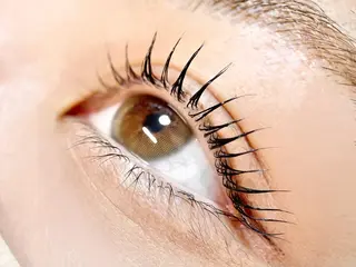 マツエク・マツパ eight eyelash池袋店のマツエク・マツパデザイン