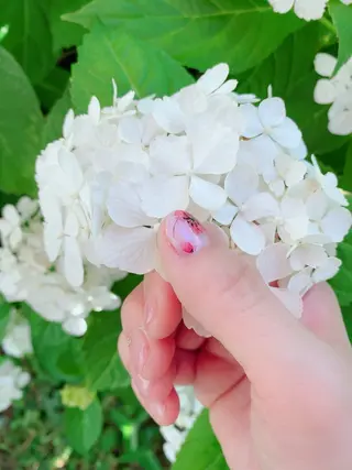 ネイル マジョリカ ブルーのネイルデザイン