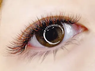 マツエク・マツパ Lil'Garden所属・nail&eye Lil'Gardenのマツエク・マツパデザイン