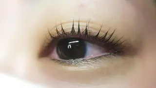 マツエク・マツパ angelux 所属・完全個室サロン🌹 angelux🌹のマツエク・マツパデザイン