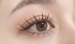 マツエク・マツパ Silk eyelash所属・Silk eyelashのマツエク・マツパデザイン