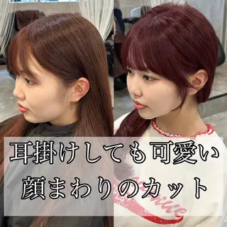 セミロング 🌹ハッシュカット、 レイヤー韓国ヘア🌹のヘアスタイル