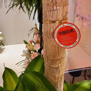 beauty salon  link所属・水素エステと美容脱毛 salon Linkのエステ・リラクイメージ