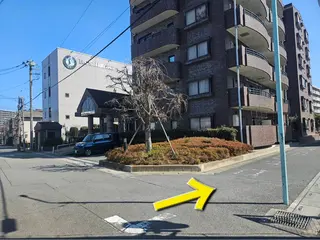 Binosu所属・エンダモロジー BINOSUのその他イメージ