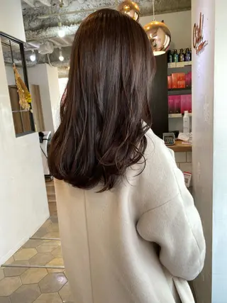 ロング 🥣 hashi 🛋️のヘアスタイル