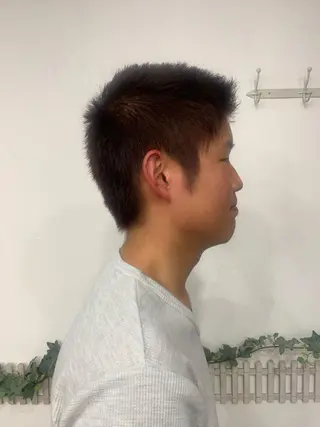 ショート 安藤 まどかのヘアスタイル