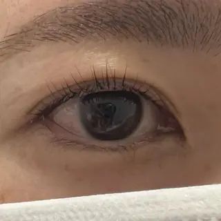 マツエク・マツパ miel中百舌鳥所属・miel yamaguchiの眉毛・アイブロウイメージ