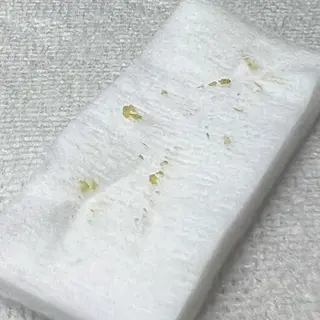 枝廣 貴子のエステ・リラクイメージ