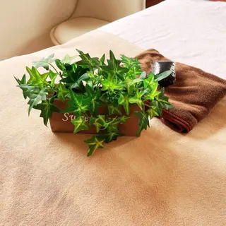 リンパ・小顔サロン PuReTeのエステ・リラクイメージ