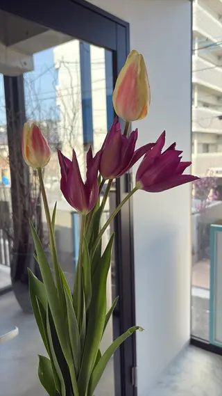 Private Salon S.Nail所属・S.Nail 𓏲⋆🪸.⋆⸜🫧のネイルデザイン