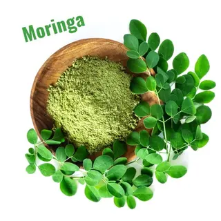 Linné  Yomogi Spa所属・東京　漢方よもぎ蒸し Linne りほのその他イメージ