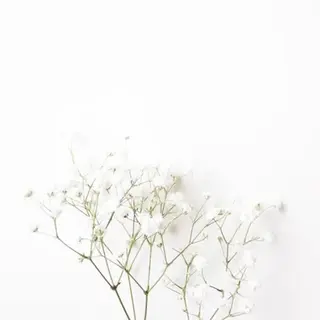 メンズ マツエク・マツパ アイブロウ Lash&brow PORTE269布施店所属・brace 竹田愛海のエステ・リラクイメージ