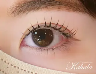 マツエク・マツパ Fujimoto 🦭⸝⋆꙳のマツエク・マツパデザイン