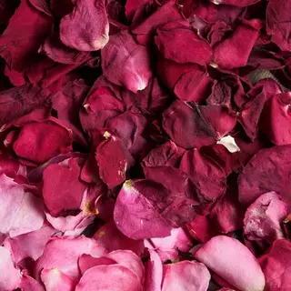 Linné  Yomogi Spa所属・東京　漢方よもぎ蒸し Linne りほのその他イメージ