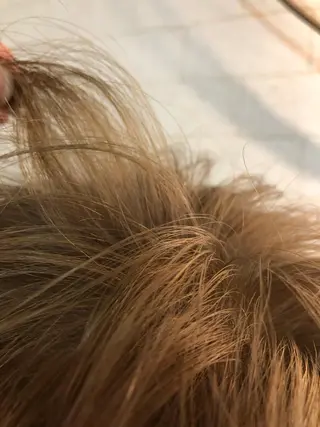 ショート カラー eins.hair所属・過去一の柔髪ヘア 🌿einshairのヘアスタイル