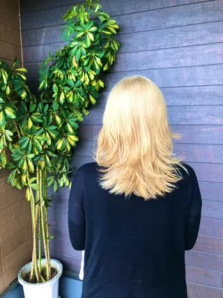 セミロング 太白区白髪ぼかし/ ボブカット/千葉達人のヘアスタイル