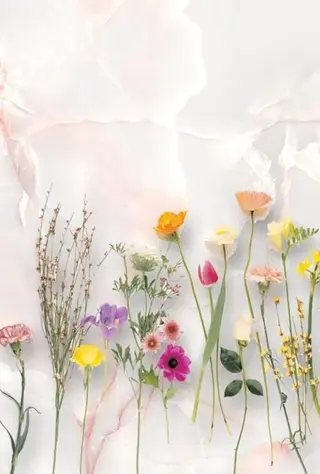 マツエク・マツパ 横浜eyelist Aidaのマツエク・マツパデザイン