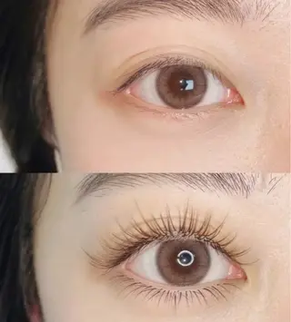 マツエク・マツパ 💫U・mi Daisyのマツエク・マツパデザイン