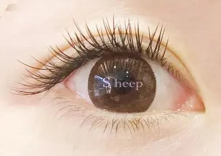 マツエク・マツパ Ｓheep所属・まつ毛エクステサロン シープのマツエク・マツパデザイン
