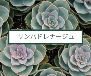 プライベートサロン ドロシーのエステ・リラクイメージ