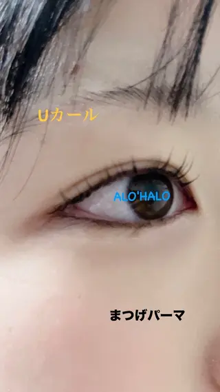 マツエク・マツパ マツエク ALO'HALOのマツエク・マツパデザイン