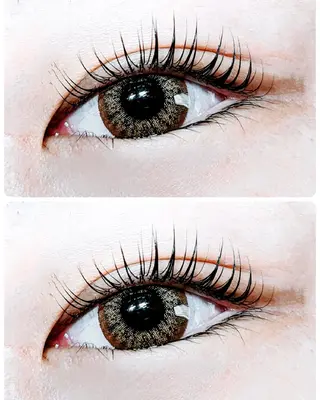 マツエク・マツパ chaler 　シャルーレ所属・シャルーレ chalerのマツエク・マツパデザイン