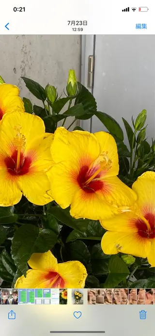 Mandarin Orange所属・毛穴から始める肌メン テマンダリンオレンジのエステ・リラクイメージ