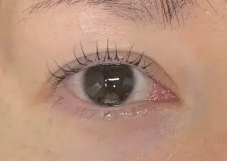 マツエク・マツパ Holus Moriguchiのマツエク・マツパデザイン