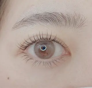 マツエク・マツパ TIARA池袋西口店 店長YASUKA💐のマツエク・マツパデザイン