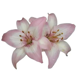 nana ❤︎のネイルデザイン