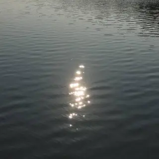 ネイル atelierLMN Harukaのネイルデザイン