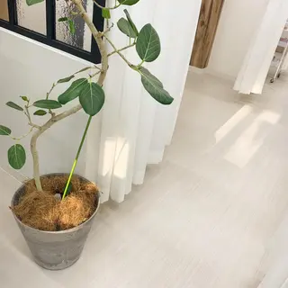 マツエク・マツパ W.eyelash所属・ダブリュー アイラッシュの眉毛・アイブロウイメージ