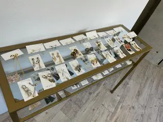 Lumos nail&eyelash所属・Lumos Ayakaのマツエク・マツパデザイン