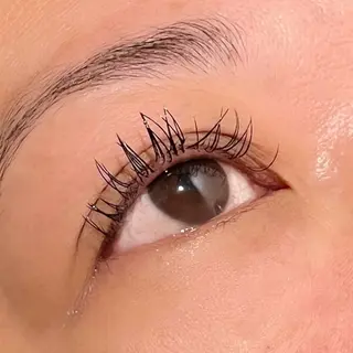 マツエク・マツパ ao/TRUTH 獨協大学前店のマツエク・マツパデザイン