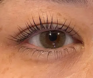 マツエク・マツパ Daisy lash 京橋店堀井のマツエク・マツパデザイン