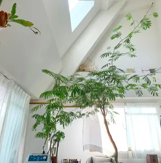 RENsalon大阪 体質改善リトリートのエステ・リラクイメージ