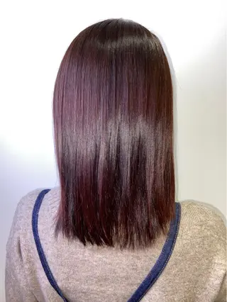 ミディアム カラー 🐺ウルフ/レイヤー 似合わせ‎🤍沙羅のヘアスタイル